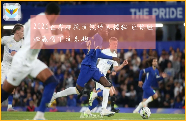 2026世界杯投注技巧大揭秘 让你轻松赢得下注乐趣