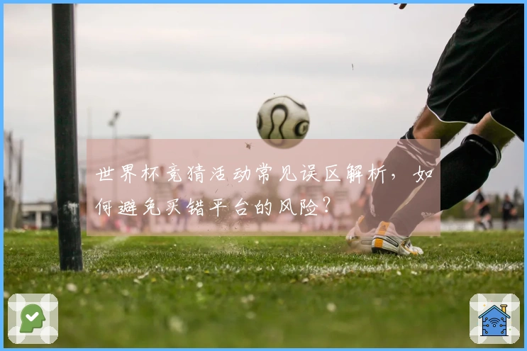 世界杯竞猜活动常见误区解析，如何避免买错平台的风险？