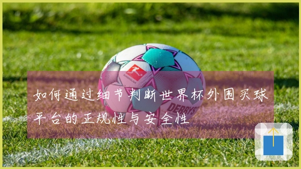 如何通过细节判断世界杯外围买球平台的正规性与安全性
