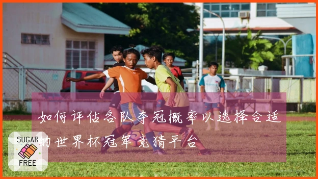 如何评估各队夺冠概率以选择合适的世界杯冠军竞猜平台