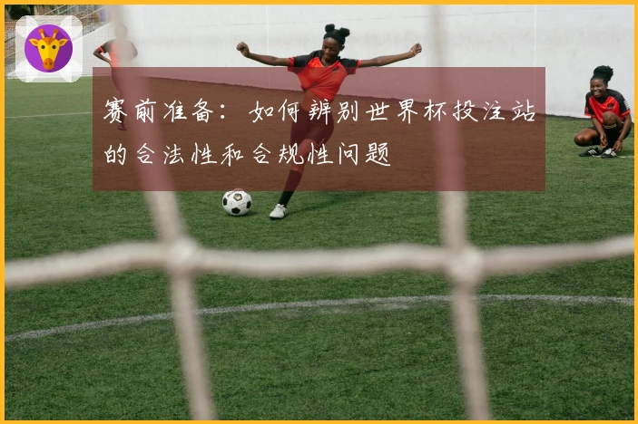赛前准备：如何辨别世界杯投注站的合法性和合规性问题