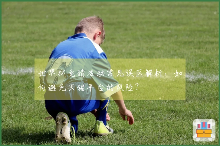 世界杯竞猜活动常见误区解析,如何避免买错平台的风险?