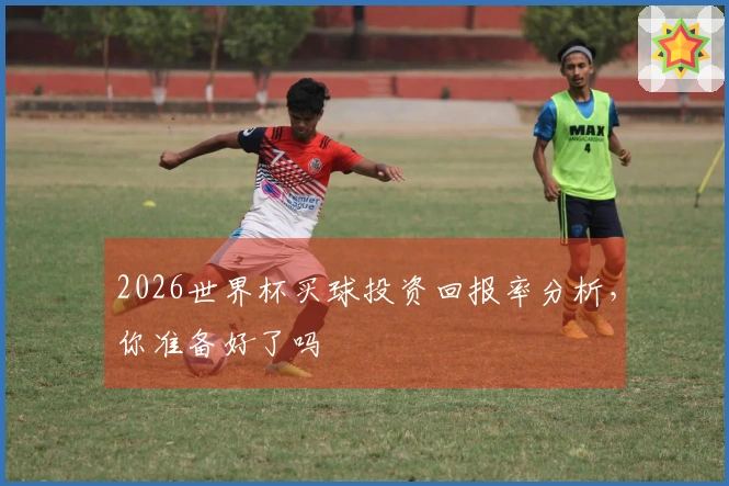 2026世界杯买球投资回报率分析，你准备好了吗